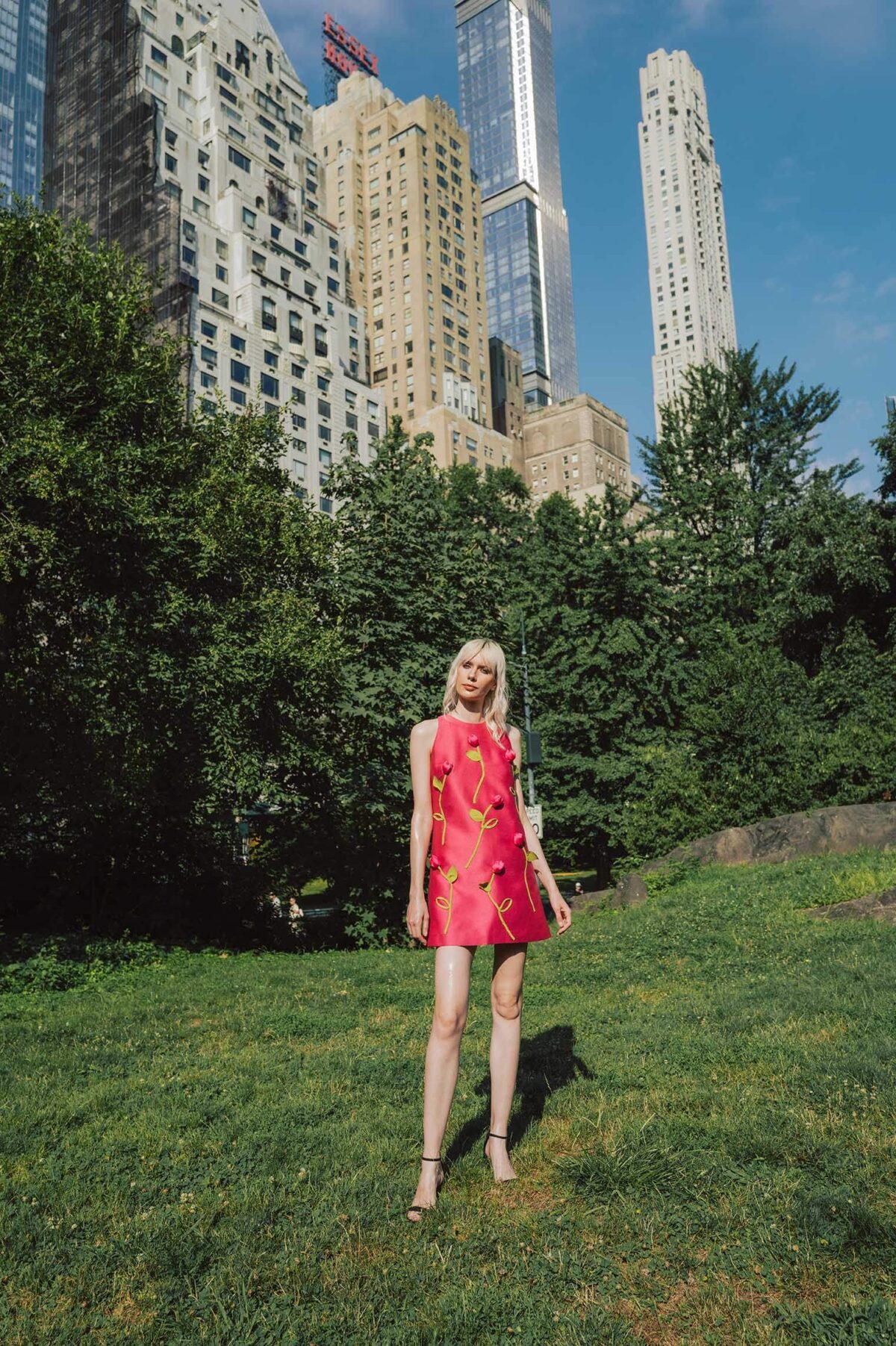 Broadway - Image 6