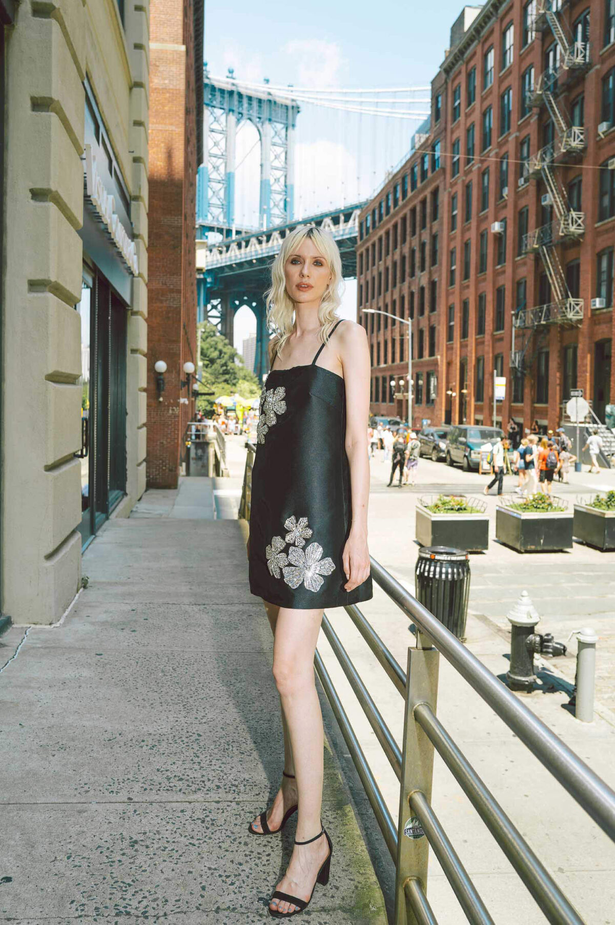 Cooper in Black - Image 5