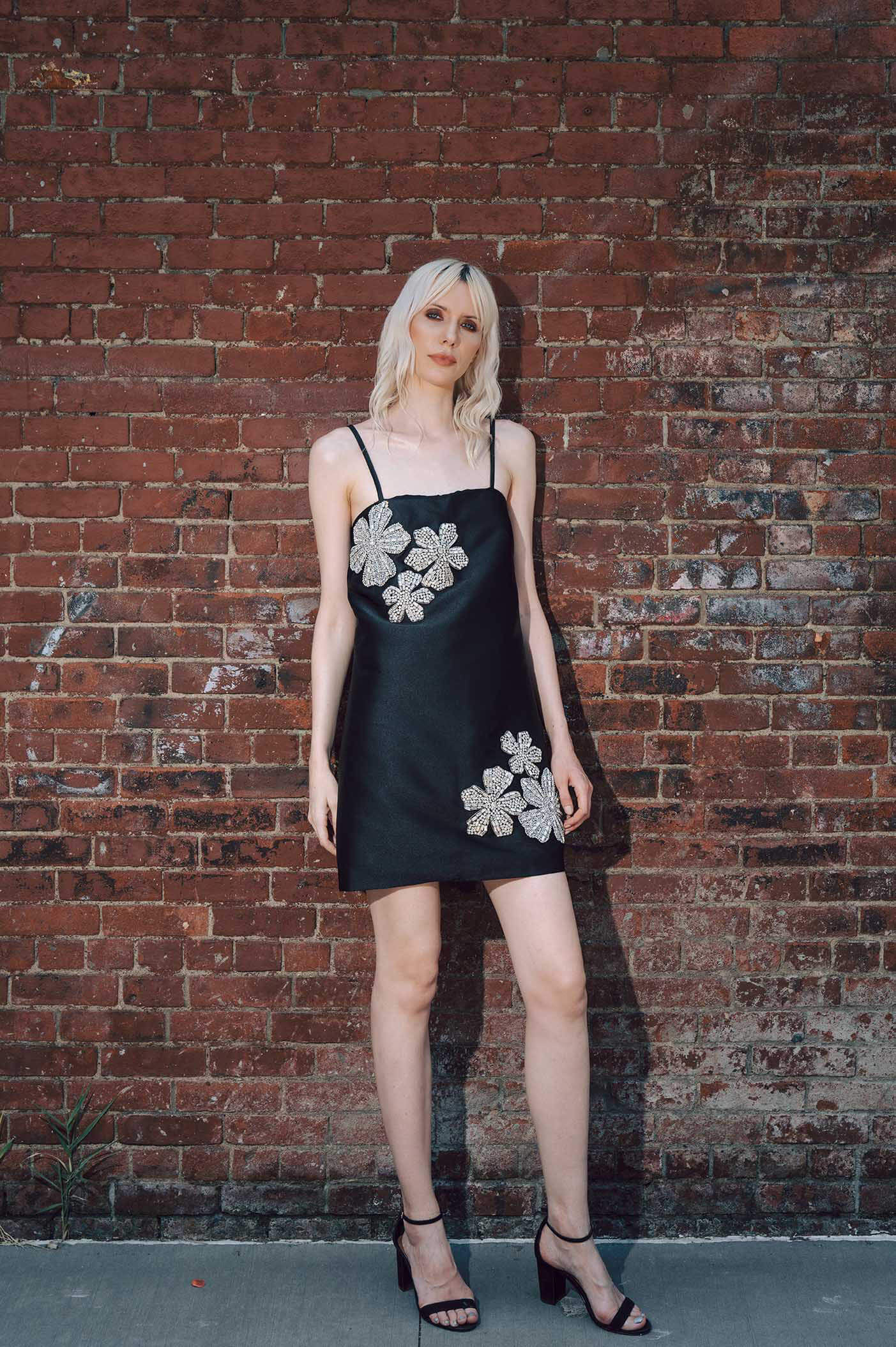 Cooper in Black